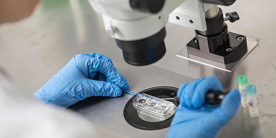 Heterologous Fertilization
