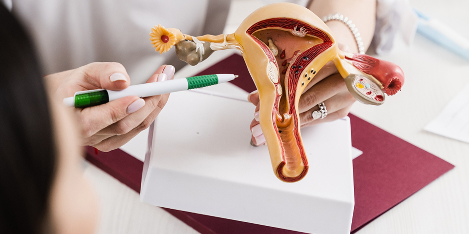 Intrauterine Insemination