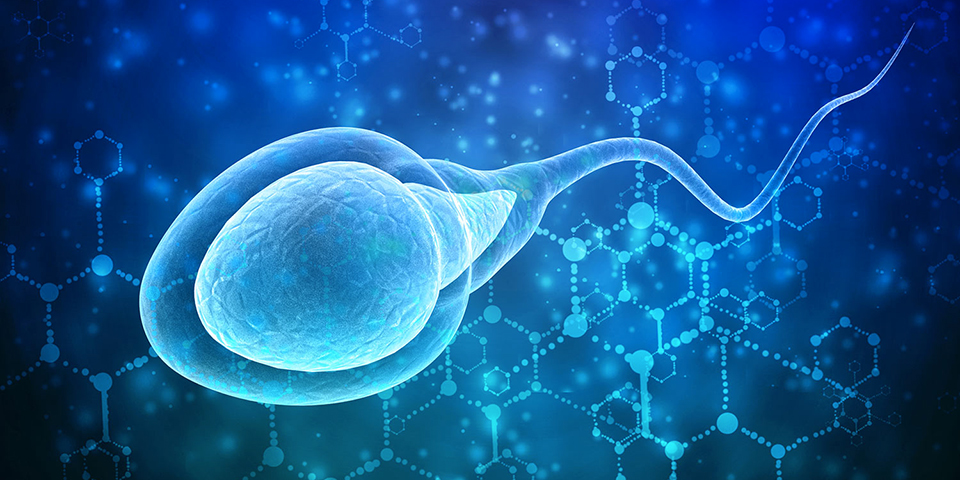 PESA and TESA, Percutaneous Epididymal Sperm Aspiration