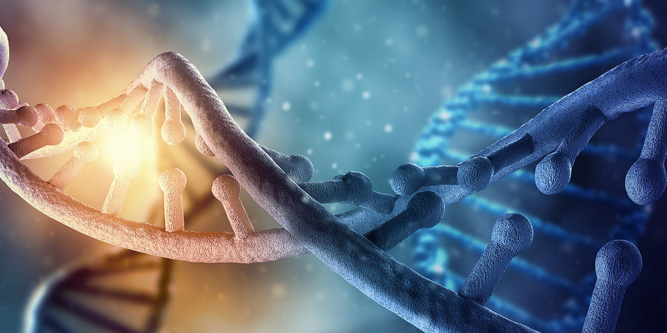 Preimplantation Genetic Test for Monogenic Disorders