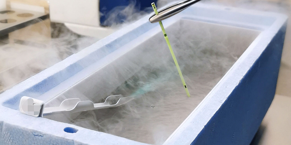 Vitrification of Gametes and Embryos