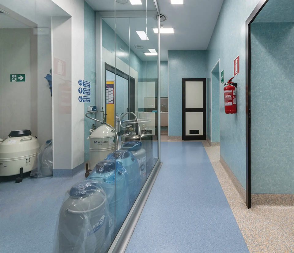 cmr turin artificial fertilization laboratory