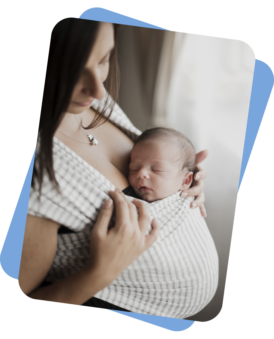 Incubatore per embrioni Geri