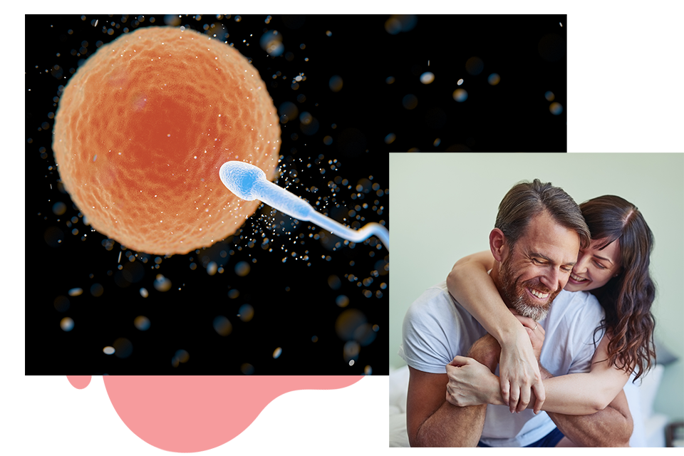 Couple's Journey: Level I