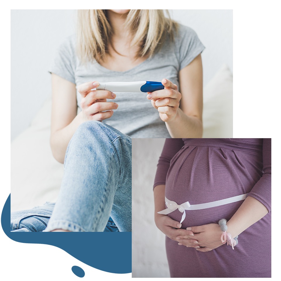 Legislative References on Assisted Reproduction