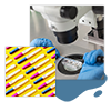 Heterologous treatments