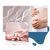 First Level Assisted Reproduction Treatments
